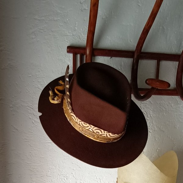 Dark brown hat
