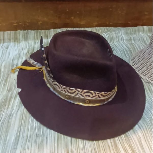Dark brown hat